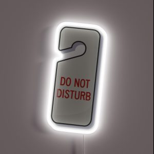 Do NOT Disturb RGB Neon Sign
