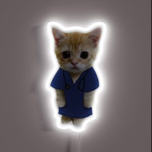 Doctor Nurse Cat RGB Neon Sign