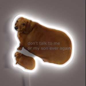 Don T Talk To Me Or My Son Ever Again Geek RGB Neon Sign