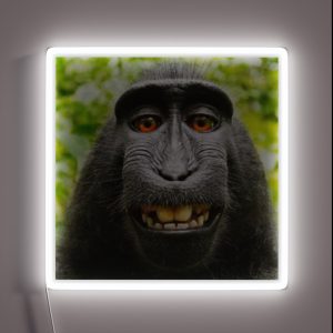 Don T Worry Be Happy RGB Neon Sign Don T Worry Be Happy RGB Neon Sign