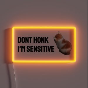 Dont Honk Im Sensitive RGB Neon Sign