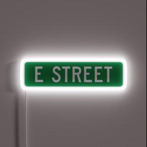 E Street Vintage Street Sign Color Version RGB Neon Sign