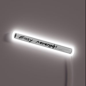 Easy Revenge RGB Neon Sign