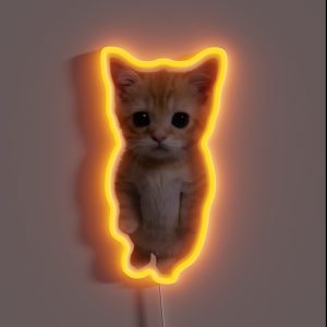 El Gato RGB Neon Sign