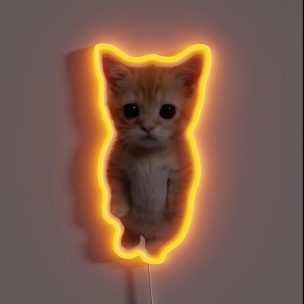 El Gato RGB Neon Sign