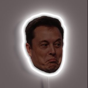Elon Musk Meme Design RGB Neon Sign