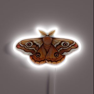 Emperor Moth Entomology Cottagecore Fairy Grunge Grimoire Witchcraft Green Witch Forestcore Whimsigoth Dark Academia Wicca Therian RGB Neon Sign