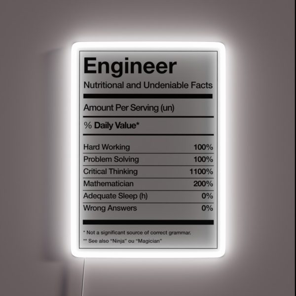 Engineering Engineer Funny RGB Neon Sign