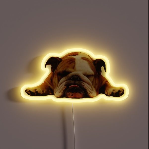 English Bulldog Lazy Beast RGB Neon Sign