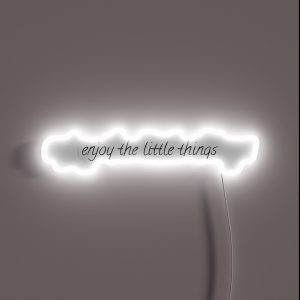 Enjoy The Little Things RGB Neon Sign