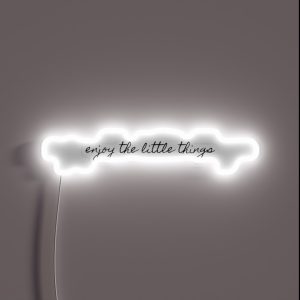 Enjoy The Little Things RGB Neon Sign