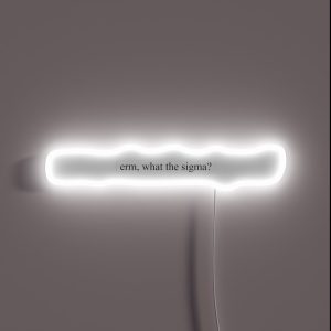 Erm What The Sigma RGB Neon Sign Erm What The Sigma RGB Neon Sign