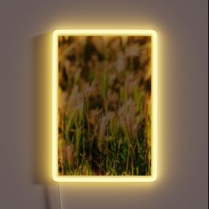 False Barley Nature Photo RGB Neon Sign