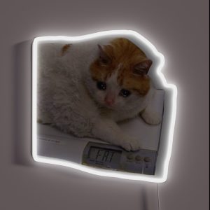 Fat Cat RGB Neon Sign