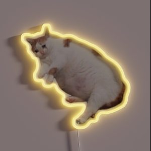 Fat Crying Cat RGB Neon Sign Fat Crying Cat RGB Neon Sign
