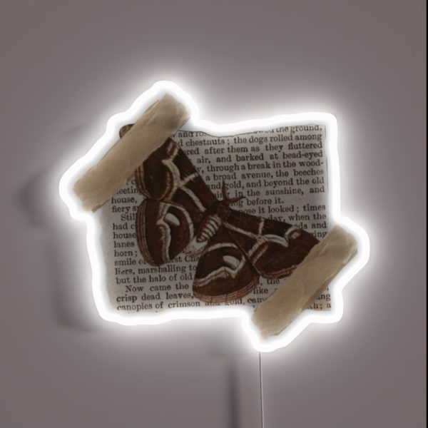 Flew Like A Moth To You Sunlight Dark RGB Neon Sign