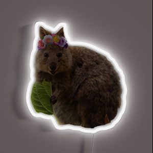 Flower Crown Dassie RGB Neon Sign Flower Crown Dassie RGB Neon Sign