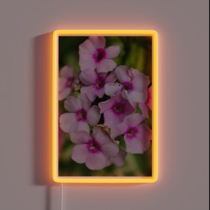 Flower Photography RGB Neon Sign