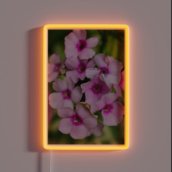 Flower Photography RGB Neon Sign