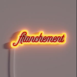 Franchement French Slang For To Be Honest RGB Neon Sign