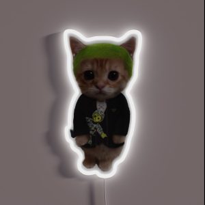 Frank Ocean Cat RGB Neon Sign