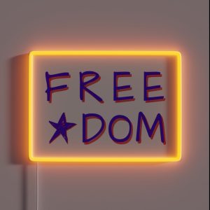 Free Dom Double Entendre RGB Neon Sign