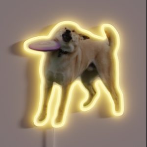 Frisbee Dog RGB Neon Sign