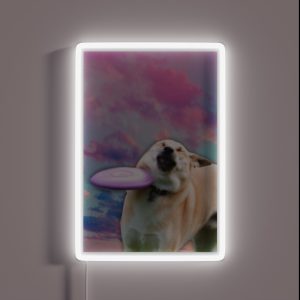 Frisbee Doge RGB Neon Sign