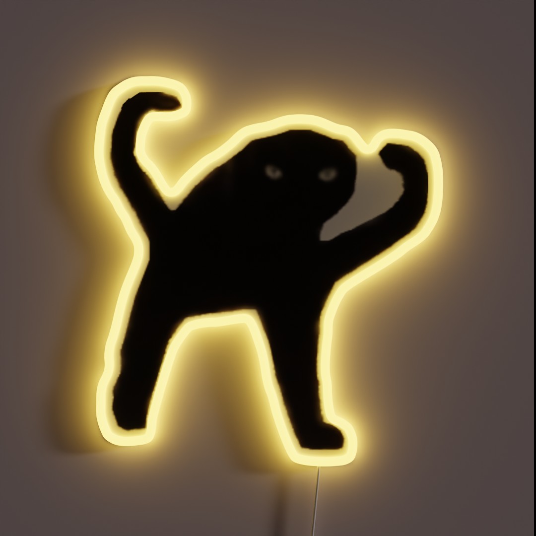 Funky Man RGB Neon Sign Funky Man RGB Neon Sign