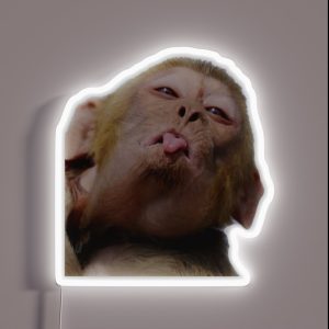 Funny Monkey RGB Neon Sign
