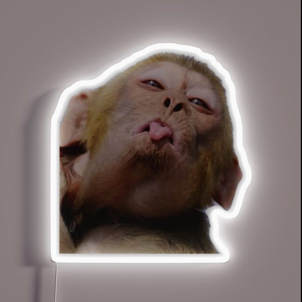 Funny Monkey RGB Neon Sign