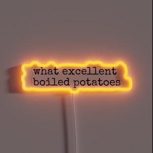 Funny Pride And Prejudice Quote RGB Neon Sign Funny Pride And Prejudice Quote RGB Neon Sign