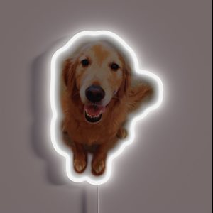 Golden Retriever RGB Neon Sign Golden Retriever RGB Neon Sign