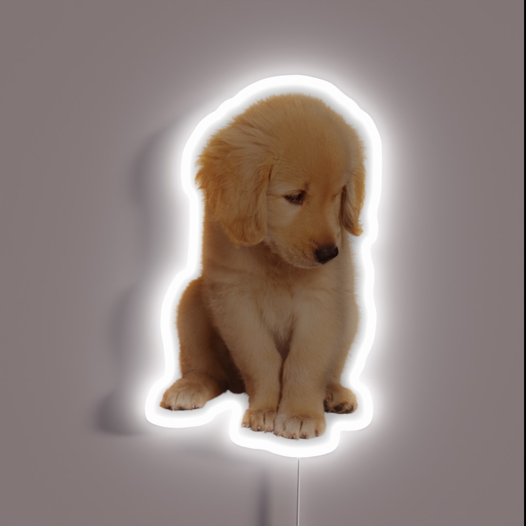 Golden Retriever RGB Neon Sign Golden Retriever RGB Neon Sign