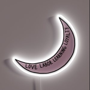 Gphi Values Moon RGB Neon Sign