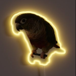 Green Cheek Conure Design Conure Small Parrot Parakeet Parrot Lover RGB Neon Sign