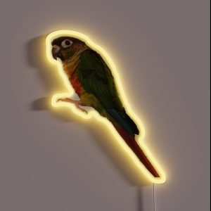 Green Cheek Conure Design Conure Small Parrot Parakeet Parrot Lover RGB Neon Sign