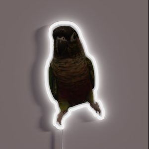 Green Cheek Conure Design Conure Small Parrot Parakeet Parrot Lover RGB Neon Sign