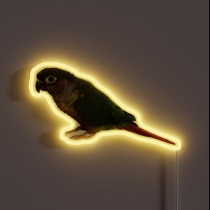 Green Cheek Conure Design Conure Small Parrot Parakeet Parrot Lover RGB Neon Sign
