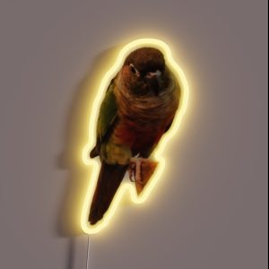 Green Cheek Conure Design Conure Small Parrot Parakeet Parrot Lover RGB Neon Sign