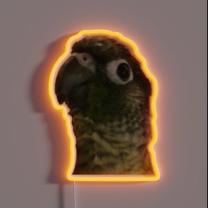 Green Cheek Conure RGB Neon Sign