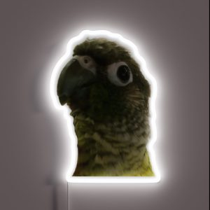 Green Cheek Conure RGB Neon Sign Green Cheek Conure RGB Neon Sign