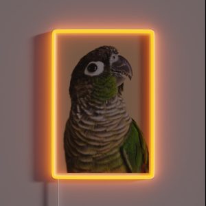 Green Cheek Conure RGB Neon Sign