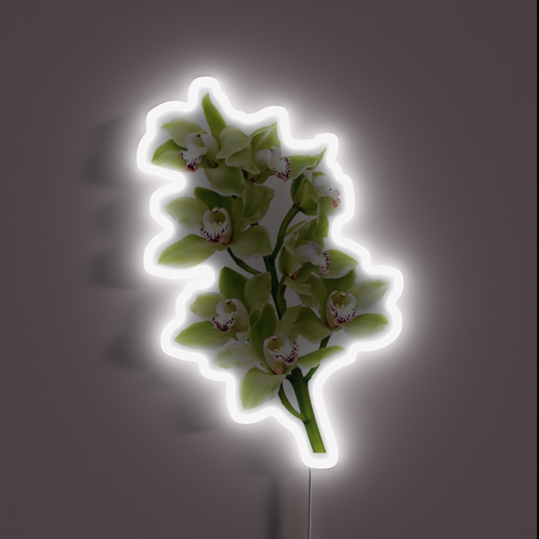 Green Cymbidium Orchid Flower Floral RGB Neon Sign Green Cymbidium Orchid Flower Floral RGB Neon Sign