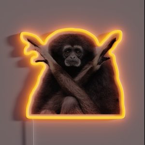 Hanging Mia Cutout RGB Neon Sign