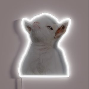 Head Of Cute White Baby Goat RGB Neon Sign