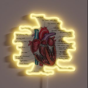 Healthy Heart Heart Anatomy Medical Illustration RGB Neon Sign
