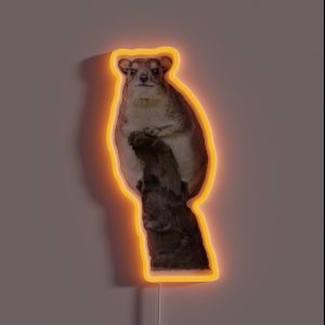 Hi Rocks RGB Neon Sign Hi Rocks RGB Neon Sign