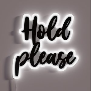 HOLD PLEASE RGB Neon Sign