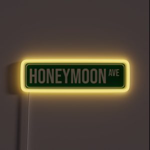 Honeymoon Street Sign RGB Neon Sign